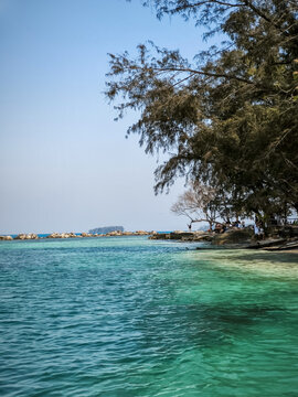 Kepulauan Seribu, Indonesia  September 06, 2026 Lush tree branches shading clear shallow seawater with a background view of islands and horizon