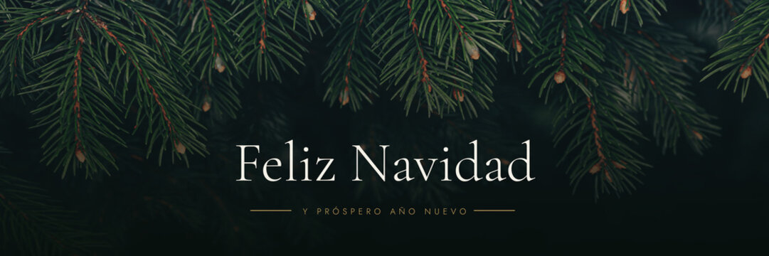 Real dark green spruce branches frame the printed Spanish greeting "Feliz Navidad" against deep shadow. Drops into a vintage and luxury cinematic christmas banner holiday background composition.