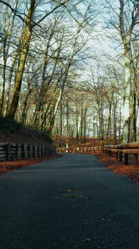 Mountain Road with Eco-Friendly and Environmentally Friendly Wooden Guard Rail