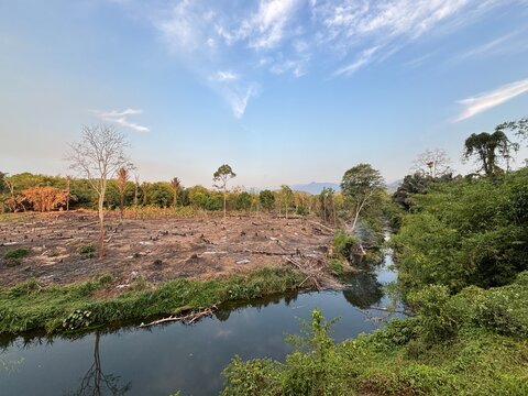 Deforested land with tree stumps beside a river, cleared farmland in rural tropical landscape. Environmental change concept: deforested area transformed into farmland beside a tropical river