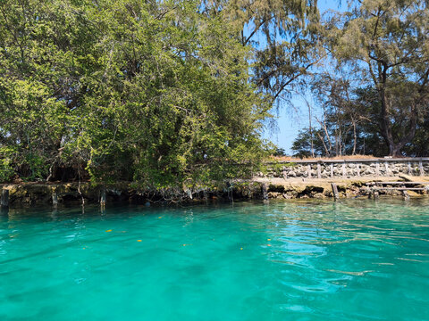 Kepulauan Seribu, Indonesia  06 September 2026 Lush green trees along the beach coast with clear turquoise sea water