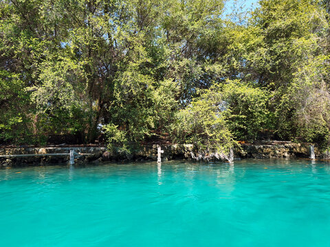 View of lush coastal vegetation by the seaside with clear greenish water in Kepulauan Seribu region