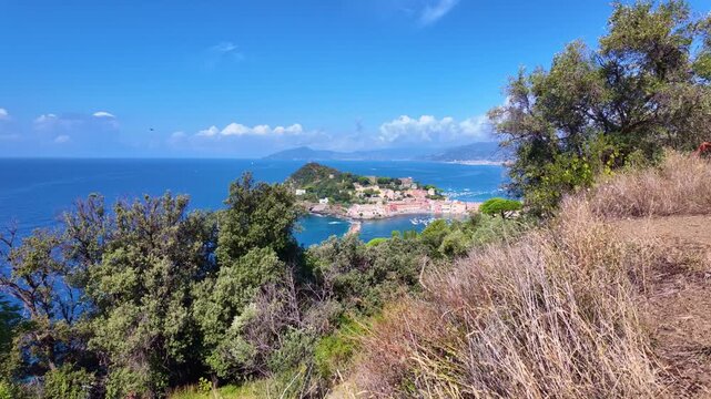Town on peninsula seen from hillside with trees and sea. Sestri Levante, Italy