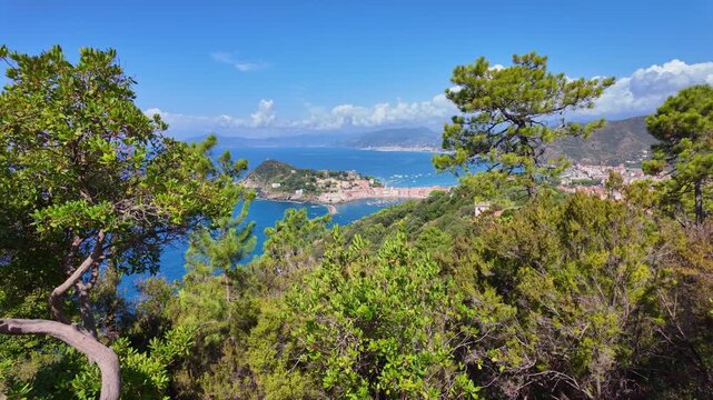 Coastal town seen through pine trees from hillside viewpoint. Sestri Levante, Italy