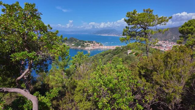 Town and bay seen through hillside pines and shrubs. Sestri Levante, Italy