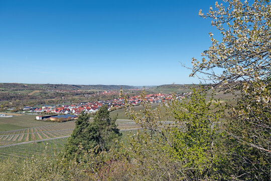 Blick vom Panoramaweg auf das Maintal und Sommerhausen bei W&uuml;rzburg