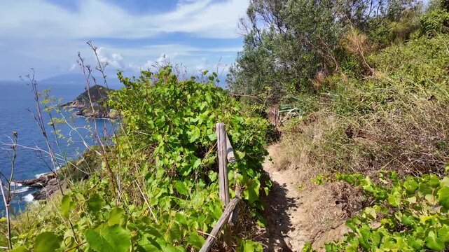 Narrow coastal footpath with wooden railing and sea view. Hiking near Sestri Levante, Italy