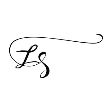 ZS initials Handwriting signature logo. ZS Hand drawn Calligraphy lettering Vector. ZS letter real estate, beauty, photography letter logo design. ZS Logo