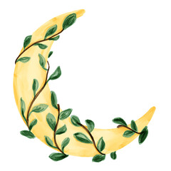 Floral crescent moon with green leaves, botanical celestial illustration © Piidraws