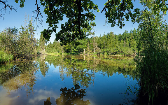 Waldweiher am HW4 im Baierbacher Rain unter dem Burgberg bei Crailsheim in Hohenlohe
