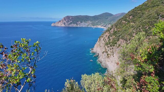 Cliffside vegetation above deep blue sea and distant rocky headland