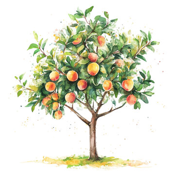 Peach Tree watercolor style, fantasy-inspired semi-realistic illustration, soft glowing accents, isolated on white