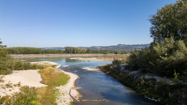 A brooke runnig along a meadow with pebbles and alga inside and trees and bushes on the side. Aereal shot.