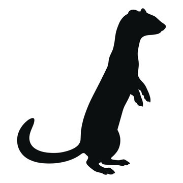 Alert weasel silhouette standing on hind legs vector graphic for wildlife emblem designs