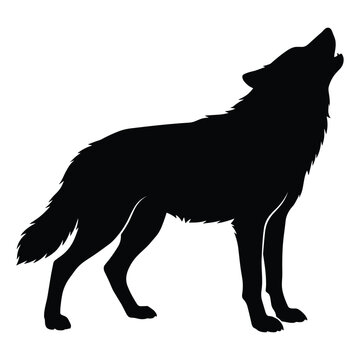 Howling wolf silhouette vector graphic for wilderness logo and outdoor adventure branding