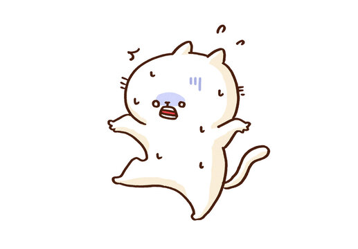 Cat falling backward in shock with a cold sweat, sudden surprise or horror panic concept