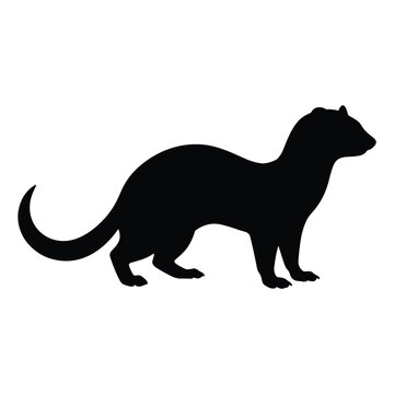 Ferret silhouette black vector animal shape for nature and wildlife graphic designs