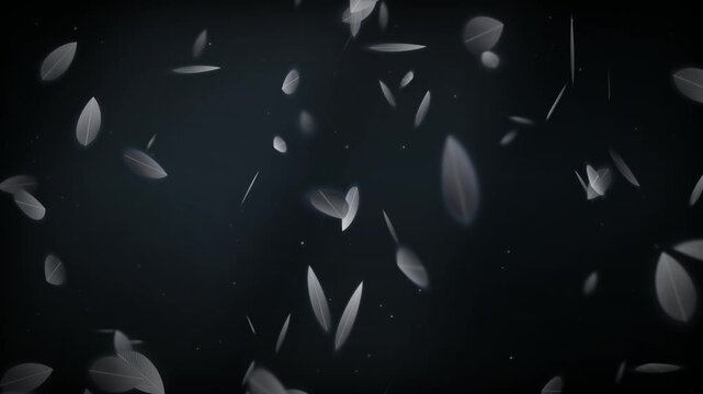 Noir stylized leaves floating abstract cinematic motion background 4k. Dark luxury background floating stylized feathers leaves slow motion loop