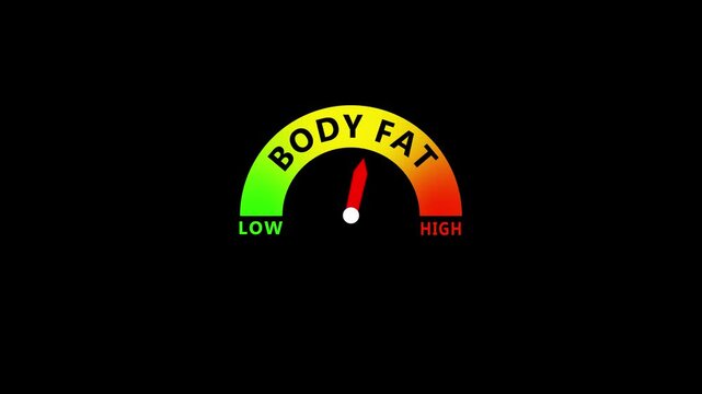 Body Fat Percentage Health Gauge Showing Low to Healthy and High Levels for Fitness, Weight Management and Body Composition Assessment