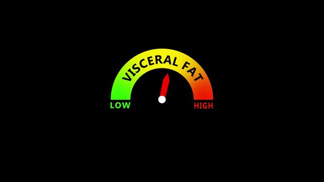 Visceral Fat Level Health Gauge Showing Low to Normal and High Abdominal Fat Levels for Obesity, Fitness and Metabolic Health Assessment