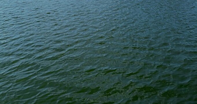 Real footage of rippling water. Water surface glides under daylight, showing soft texture, depth, and tranquil natural feeling.