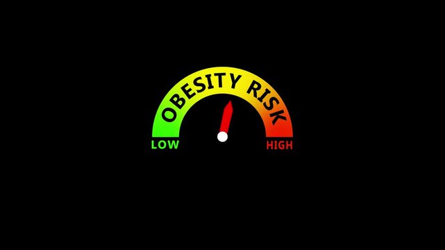 Obesity Risk Level Gauge Showing Low to High Risk for Excess Weight, Body Fat, Metabolic Health and Weight Management Assessment