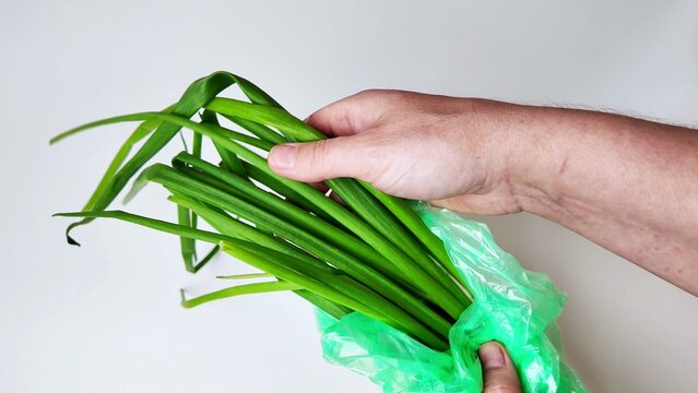 A person holds a bunch of long green onions with their hand, partially wrapped in a translucent green plastic bag against a plain white background