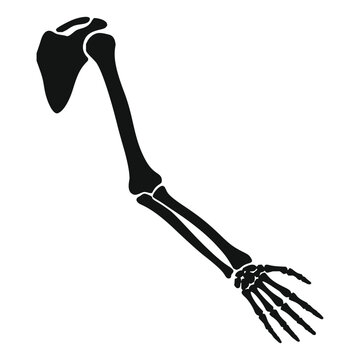 Skeleton Arm Bones Vector Silhouette Icon