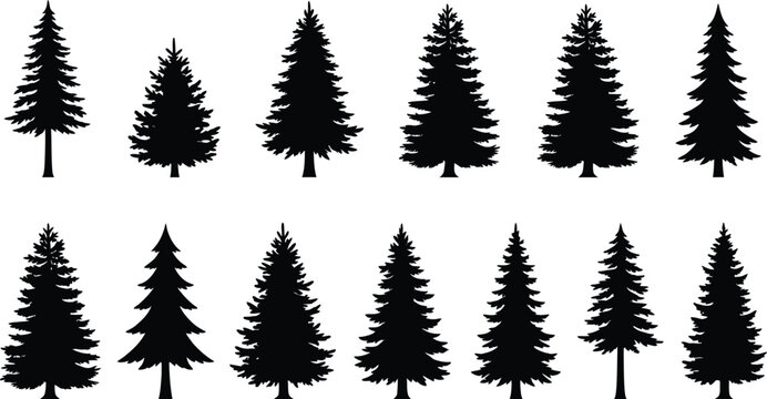 Collection of hand drawn pine tree icons featuring a detailed black and white forest nature silhouette
