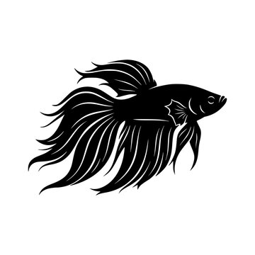Betta fish flowing tail silhouette vector illustration, Betta fish flowing tail silhouette