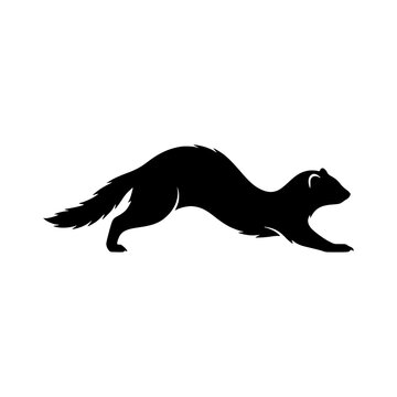 Running weasel silhouette vector illustration, Weasel silhouette vector illustration