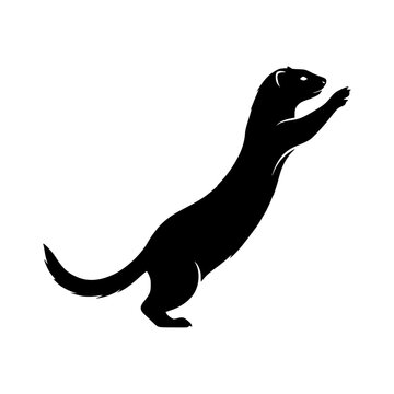 Standing weasel silhouette vector illustration, Weasel standing silhouette illustration