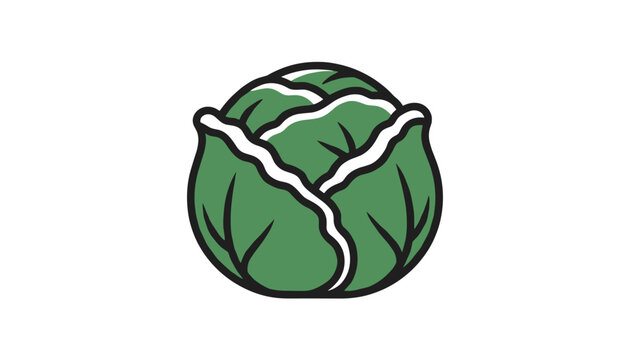 Fresh green cabbage vegetable cartoon vector illustration isolated on white background for food and diet design.