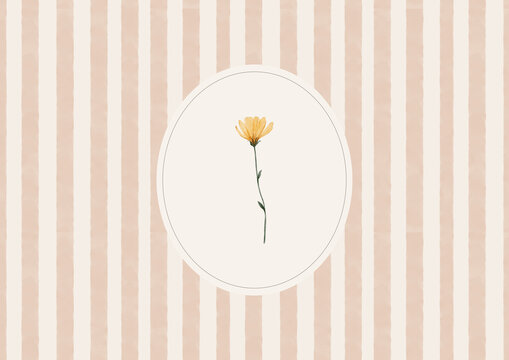 Minimal yellow wildflower inside a delicate circular frame. Simple botanical illustration on a warm striped background.