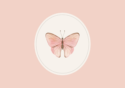 Pink watercolor butterfly inside a soft circular frame. Delicate feminine nature illustration on a blush background.