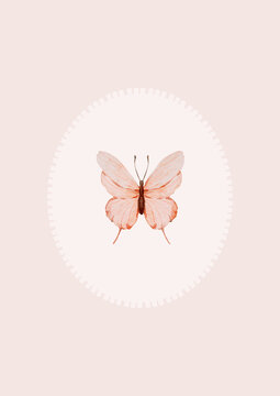 Delicate watercolor butterfly rests within a neat oval frame on a pale pink backdrop. This elegant wall art adds vintage charm to a sweet baby room.