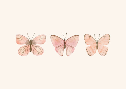 Three beautiful watercolor butterflies flutter gracefully together on a warm beige background. This gentle spring illustration perfectly suits a cute girl nursery decor.