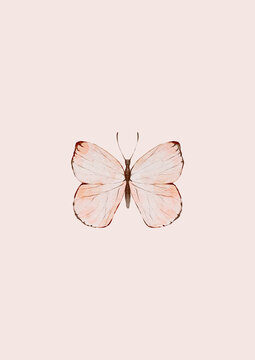Beautiful pink watercolor butterfly flies gently on a soft pastel background. This delicate illustration brings a sweet touch to any baby girl nursery room.