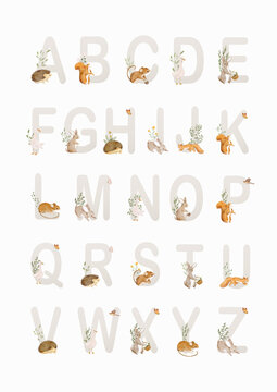 Educational alphabet poster features cute watercolor elements and neutral tones. This beautiful typography print is perfect for decorating a modern nursery or playroom.