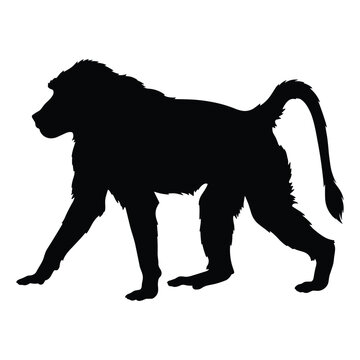 Baboon silhouette vector icon walking in side profile view for wildlife design and nature projects