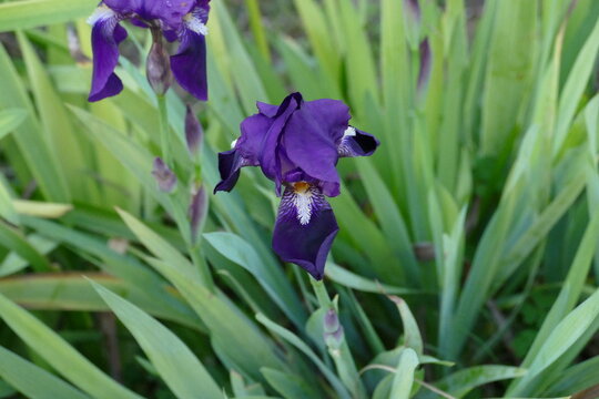 Natureza no inverno continua linda.