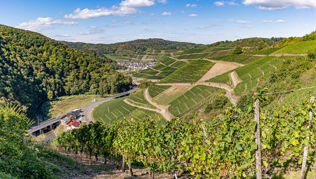 Dernau, Rheinland-Pfalz, Deutschland - 11.09.2026: Blick vom Rotweinwanderweg nach Dernau/Ahrtal