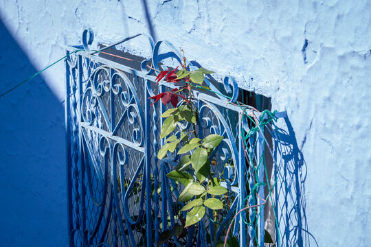 Morocco 81