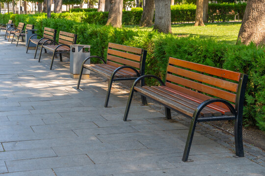 Row of empty park benches along a paved walkway with lush green bushes