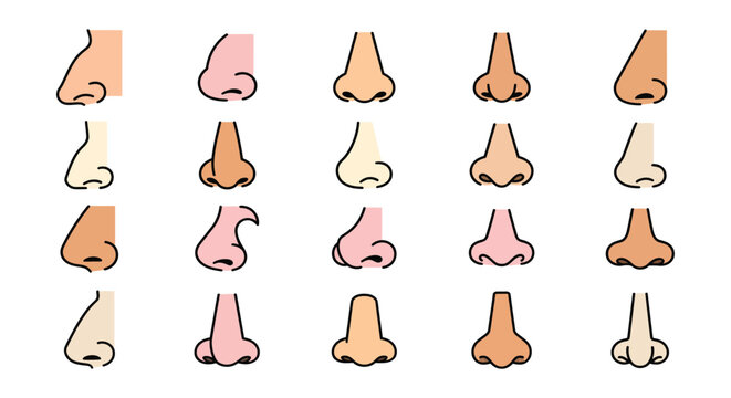 Collection of various nose shapes a colorful vector illustration