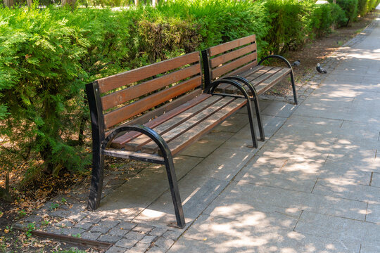 Row of empty park benches along a paved walkway with lush green bushes