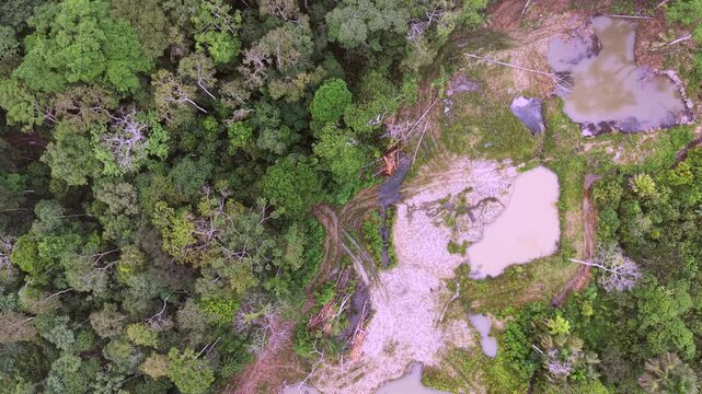 Aerial view of an illegal gold mining concession in the Amazon, Napo province, Ecuador