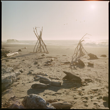 Driftwood structures on remote Pacific beach