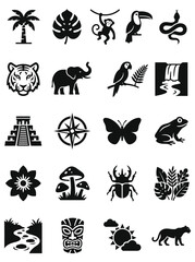 Fototapeta premium Jungle Adventure Icons And Symbols