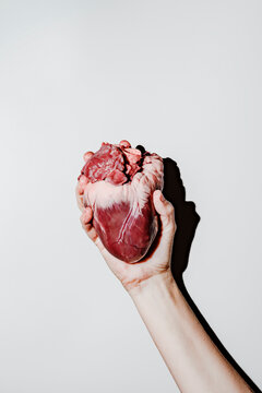 Holding a Human Heart in a Hand Against a Light Background